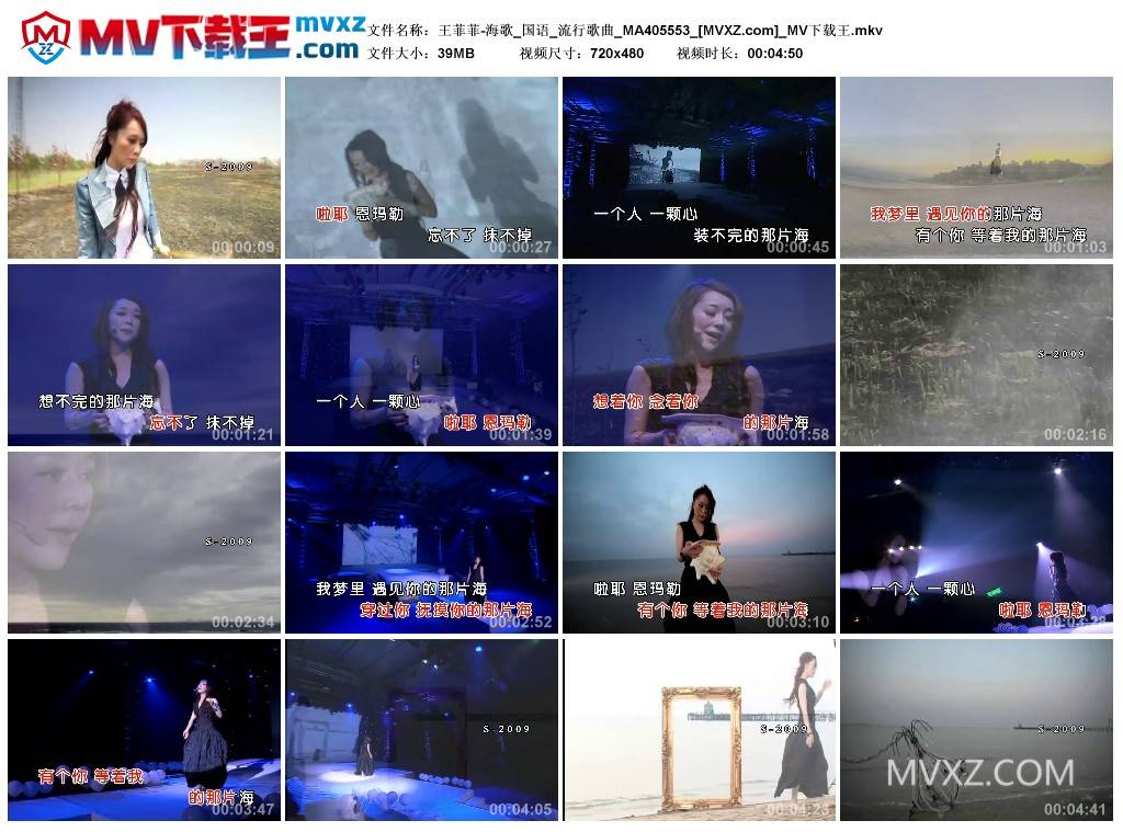 王菲菲-海歌_国语_流行歌曲_MA405553